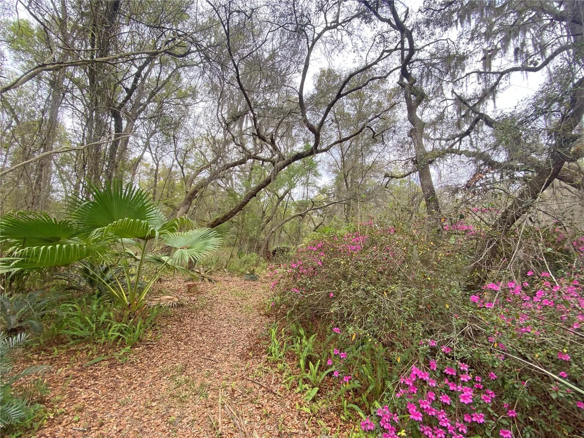 119 Twin Lakes Road Hawthorne FL 32640