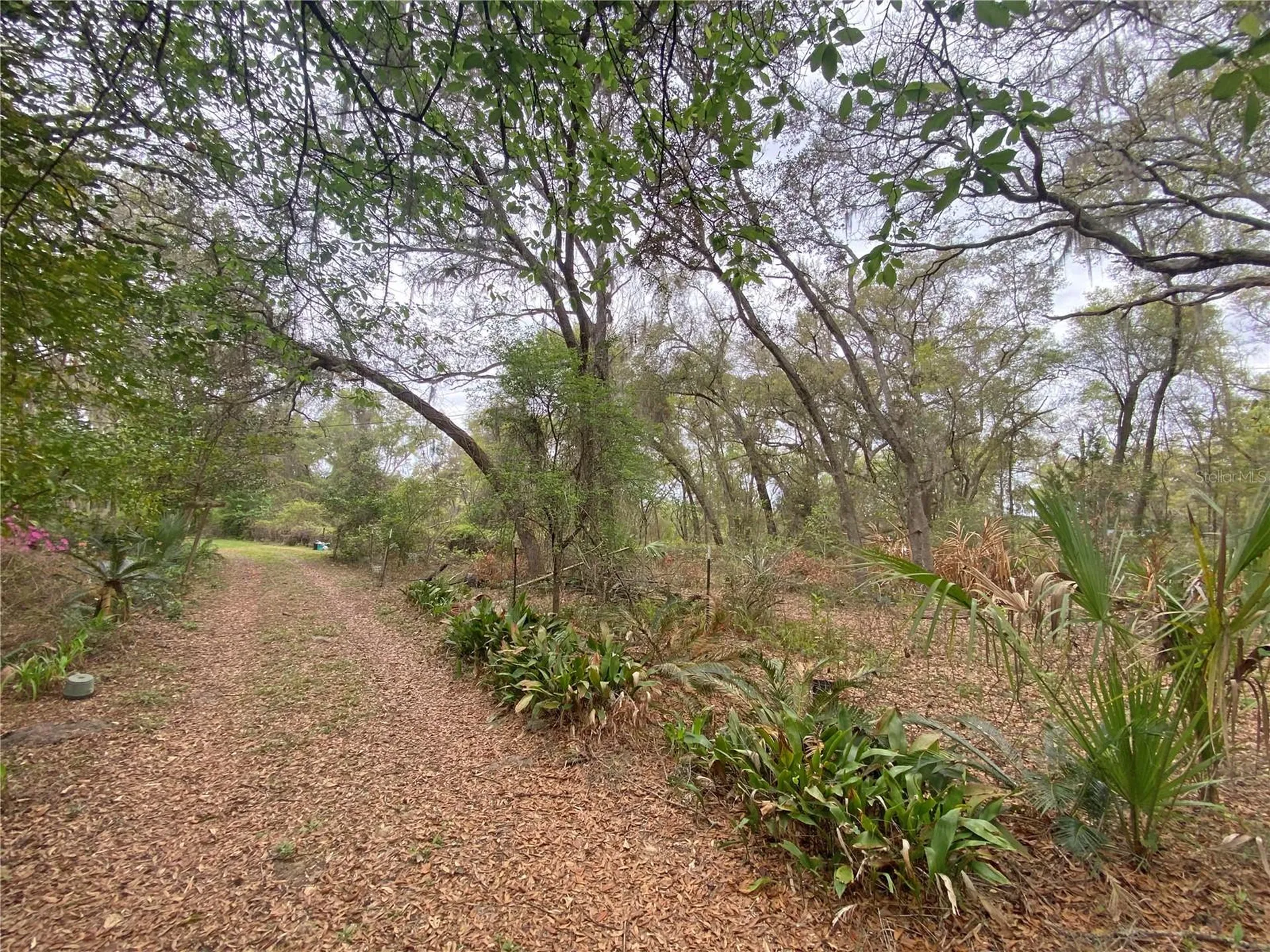 119 Twin Lakes Road Hawthorne FL 32640