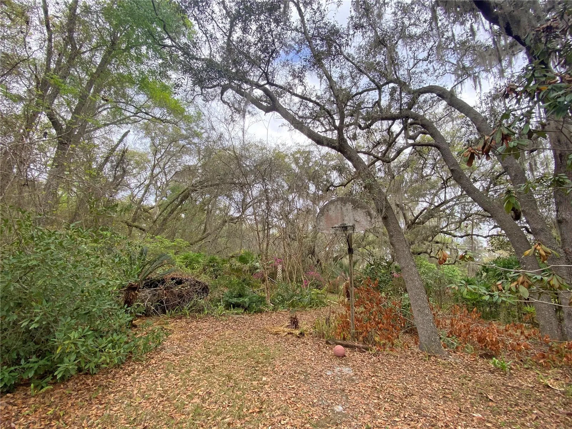 119 Twin Lakes Road Hawthorne FL 32640