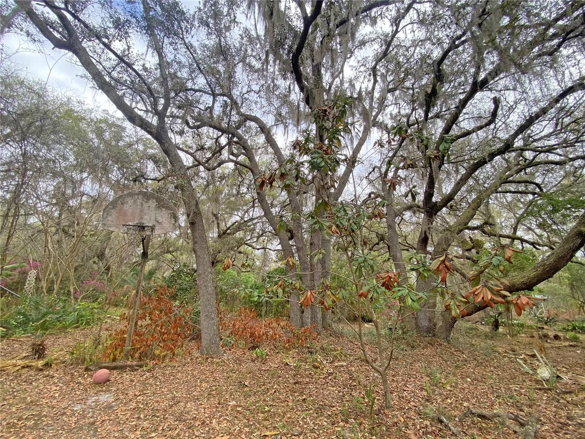 119 Twin Lakes Road Hawthorne FL 32640