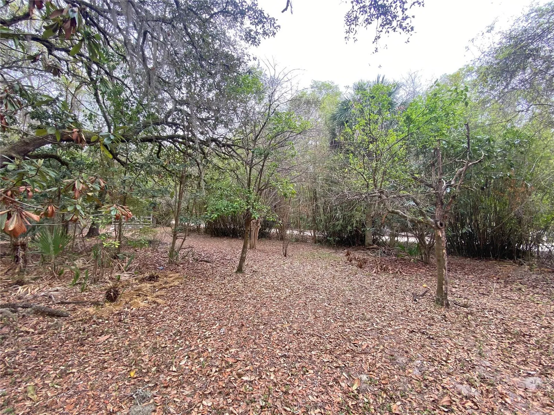 119 Twin Lakes Road Hawthorne FL 32640