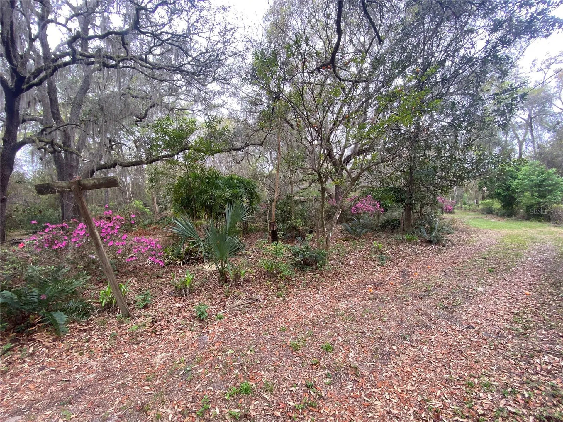 119 Twin Lakes Road Hawthorne FL 32640