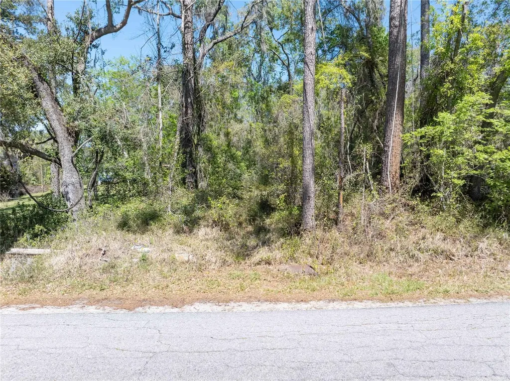 9311 86th Street Live Oak FL 32060
