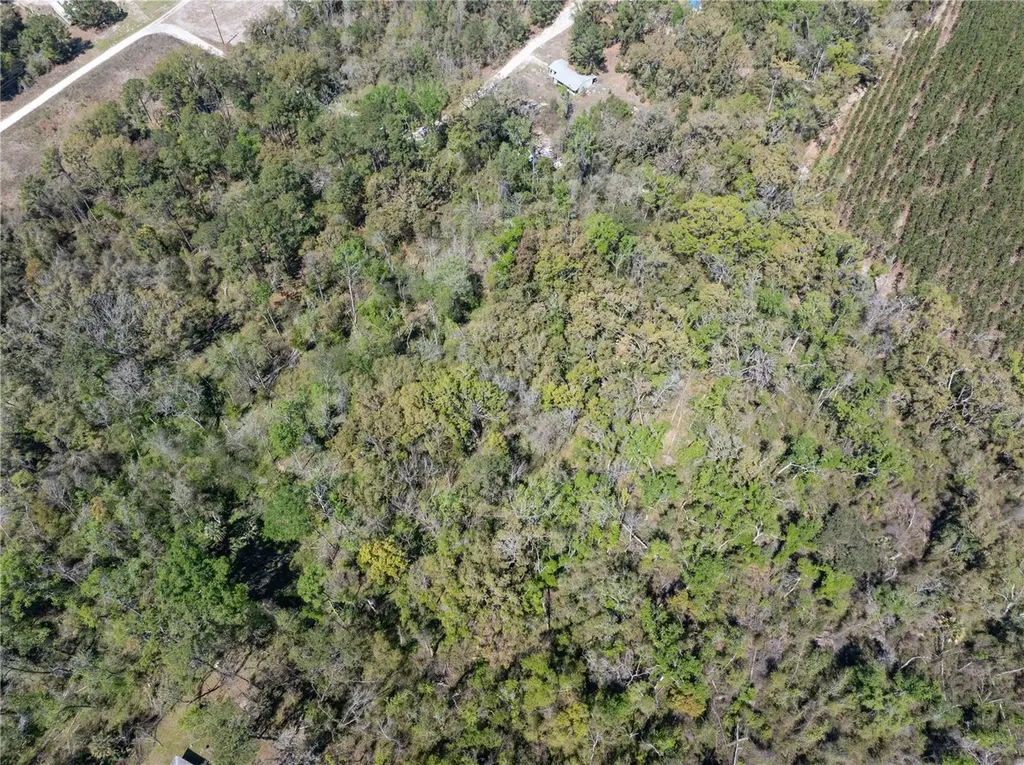 9311 86th Street Live Oak FL 32060