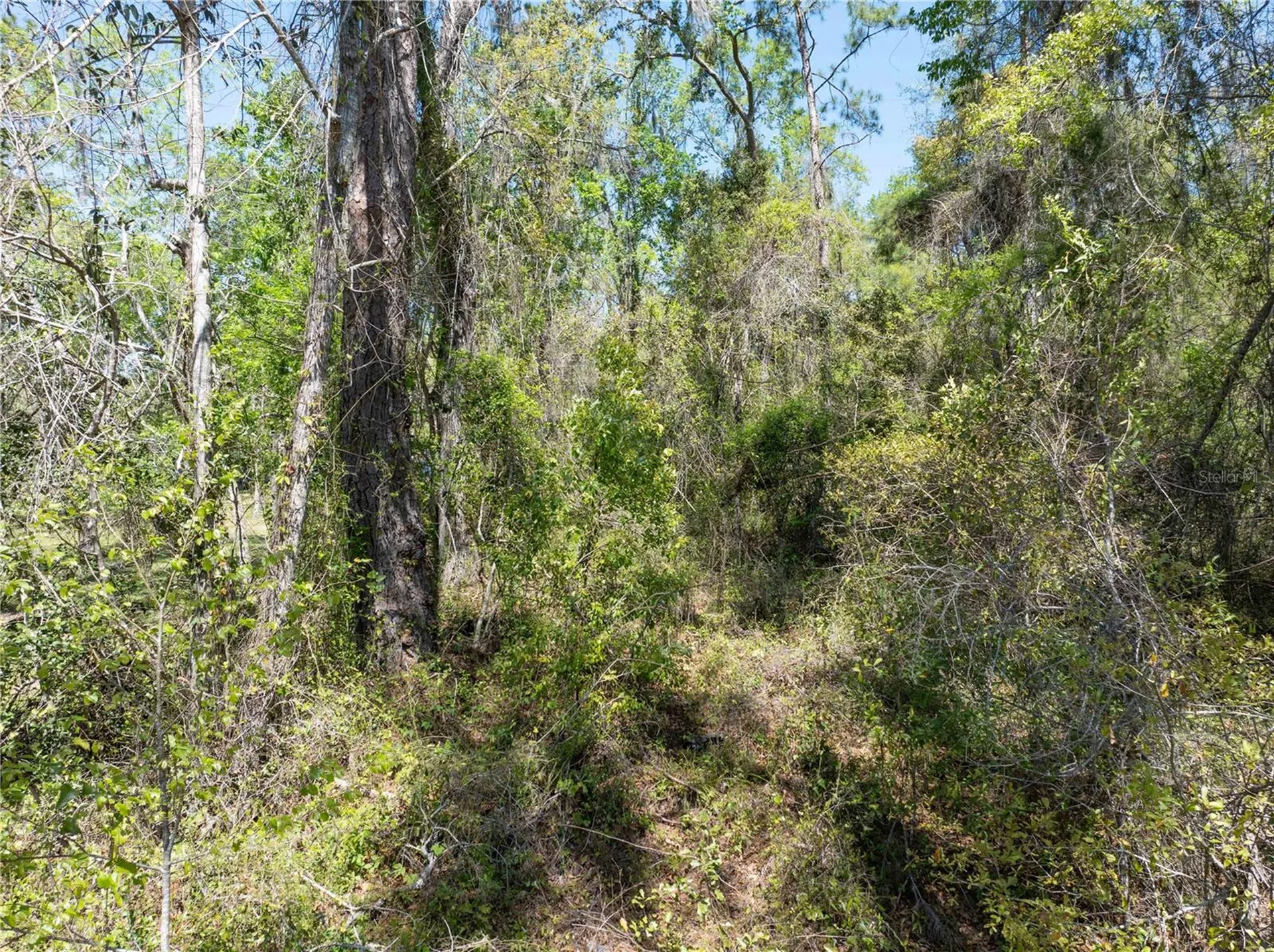 9311 86th Street Live Oak FL 32060