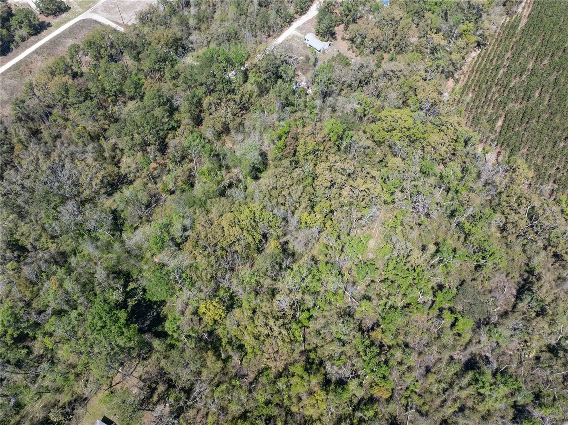 9311 86th Street Live Oak FL 32060