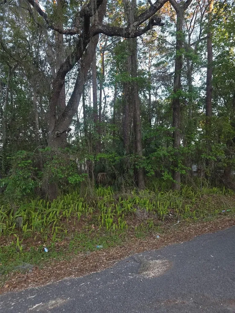 0 Bethune Street Brooksville FL 34601