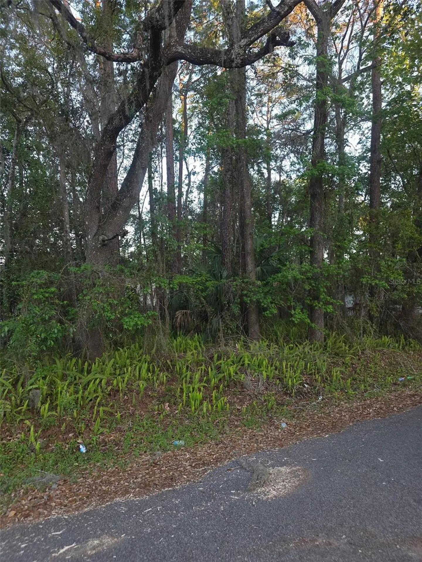 0 Bethune Street Brooksville FL 34601