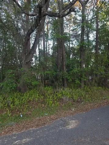 0 Bethune Street Brooksville FL 34601