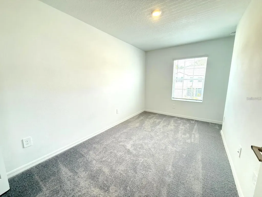 10171 Trumpet Honeysuckle Way San Antonio FL 33576