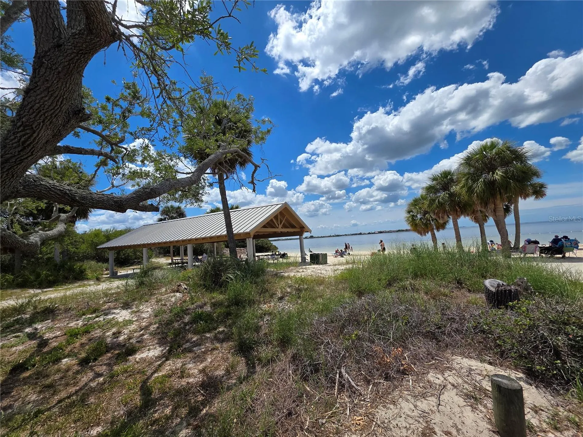 4461 Rustic Drive New Port Richey FL 34652
