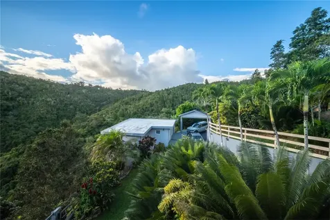 Carretera 715 Kilometro 3.7 Cayey PR 00736