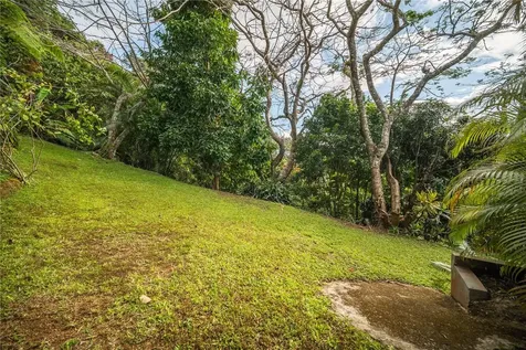 Carretera 715 Kilometro 3.7 Cayey PR 00736
