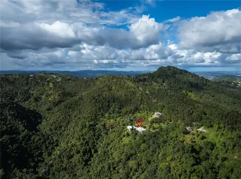 Carretera 715 Kilometro 3.7 Cayey PR 00736
