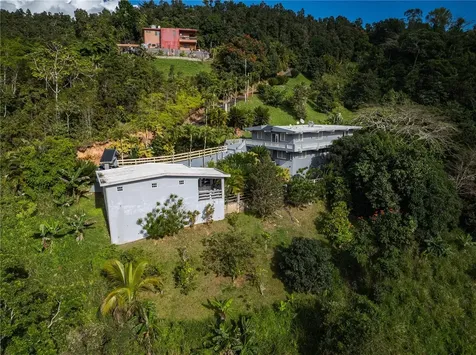 Carretera 715 Kilometro 3.7 Cayey PR 00736