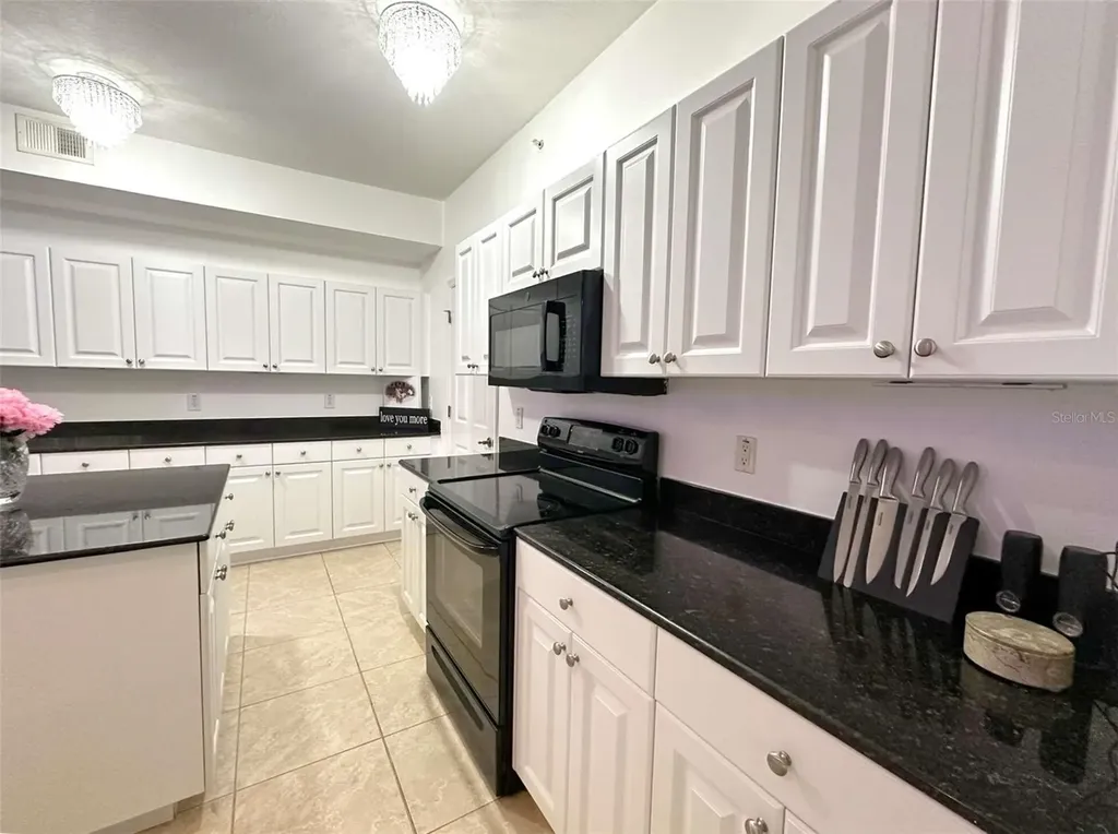 21019 Sunpoint Way Lutz FL 33558