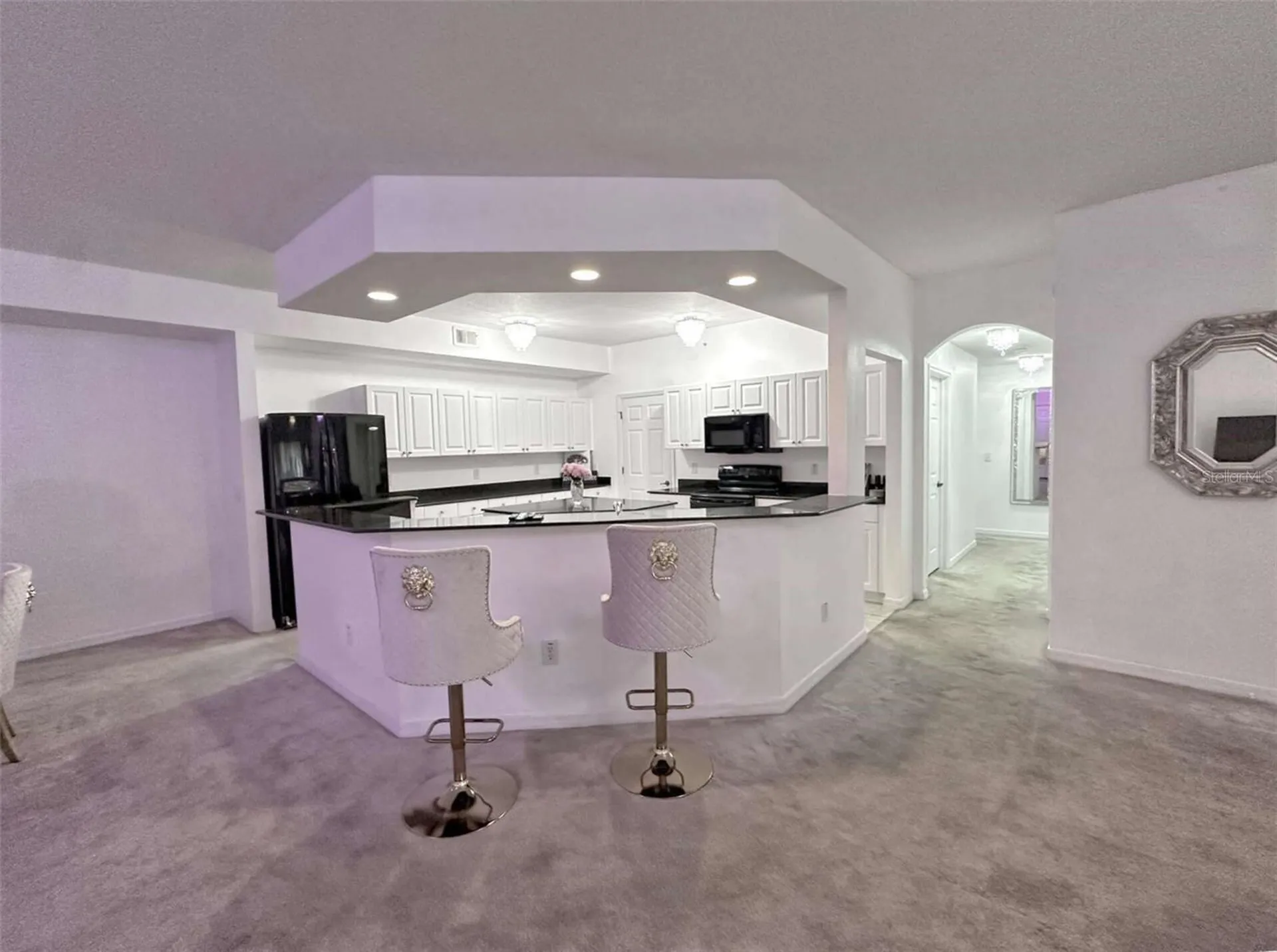 21019 Sunpoint Way Lutz FL 33558