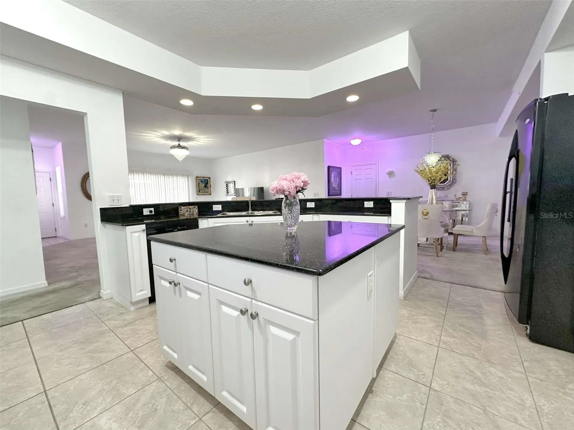 21019 Sunpoint Way Lutz FL 33558