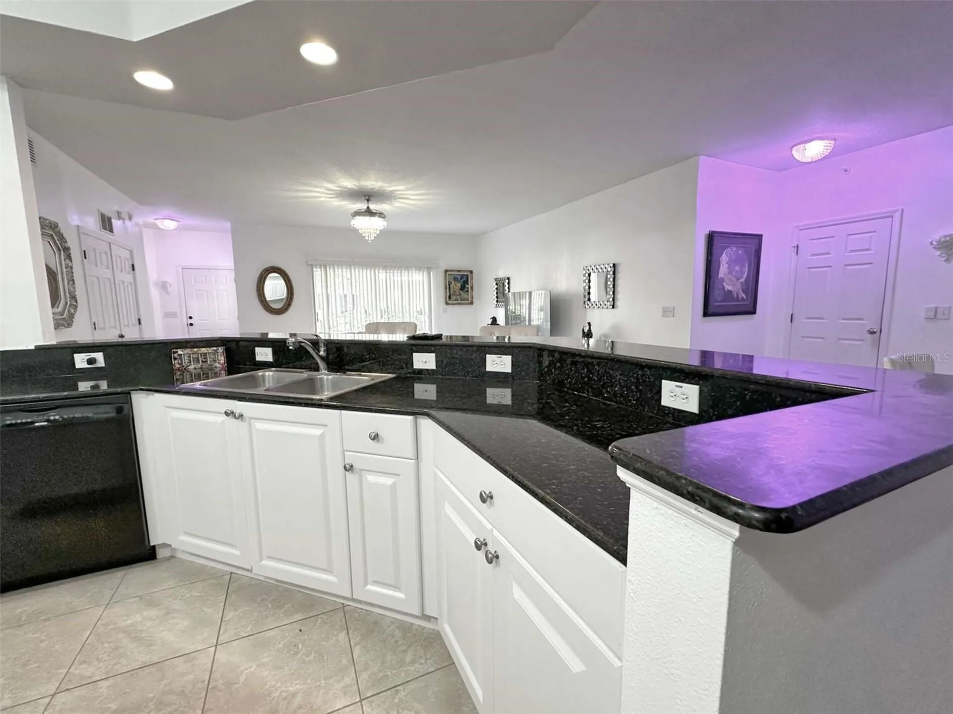 21019 Sunpoint Way Lutz FL 33558