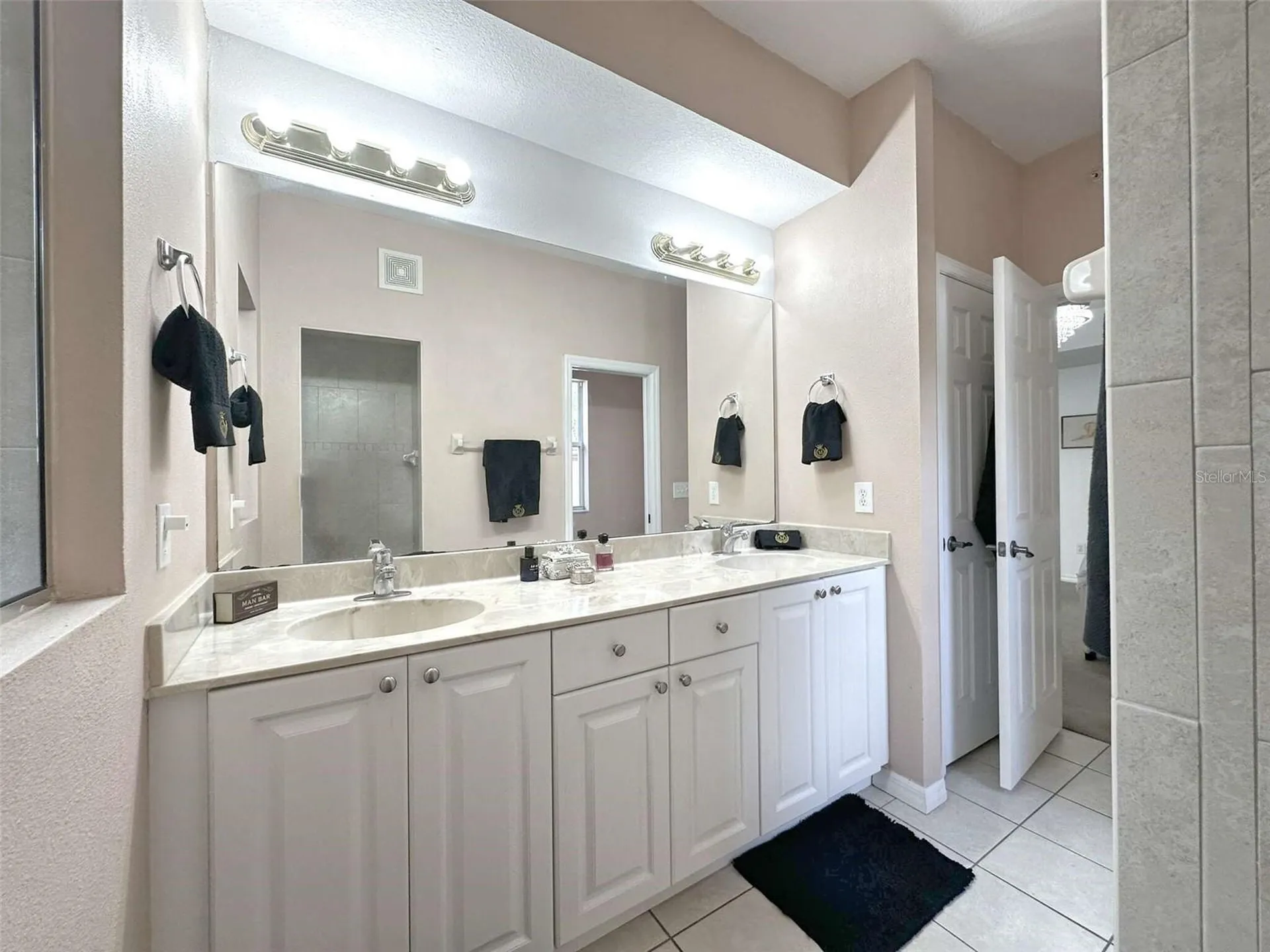 21019 Sunpoint Way Lutz FL 33558