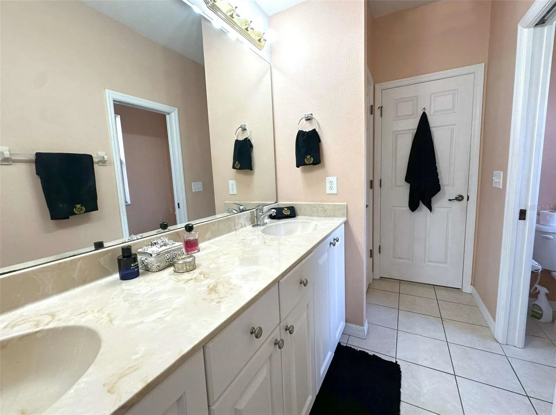 21019 Sunpoint Way Lutz FL 33558