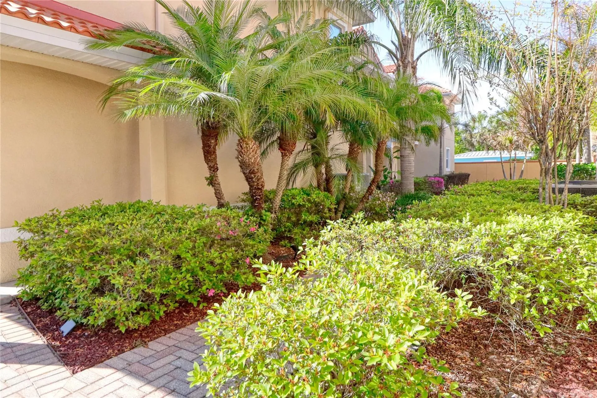 21019 Sunpoint Way Lutz FL 33558