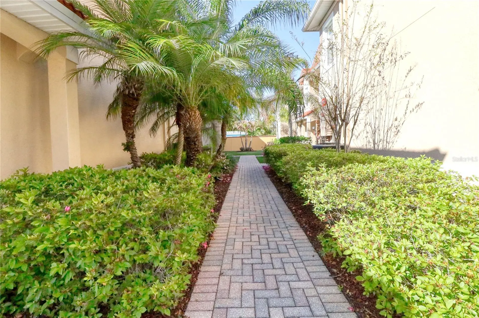 21019 Sunpoint Way Lutz FL 33558