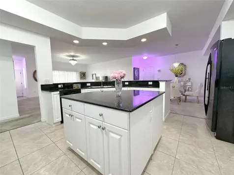 21019 Sunpoint Way Lutz FL 33558
