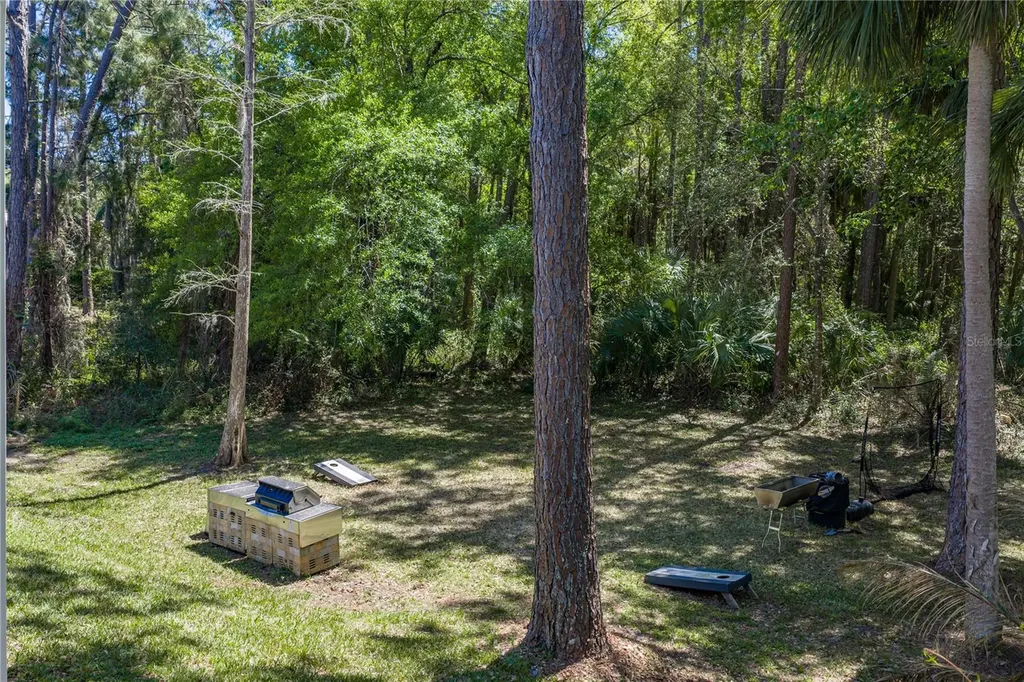 17820 Grey Brooke Drive Tampa FL 33647