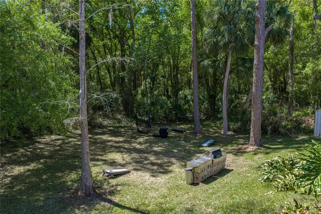 17820 Grey Brooke Drive Tampa FL 33647