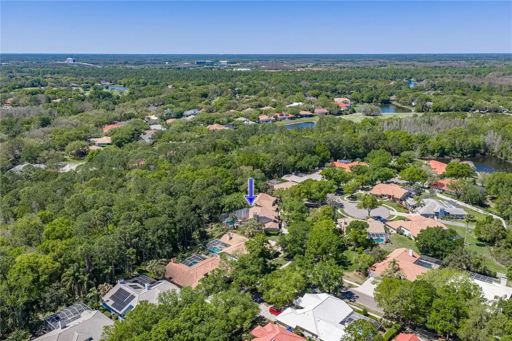 17820 Grey Brooke Drive Tampa FL 33647