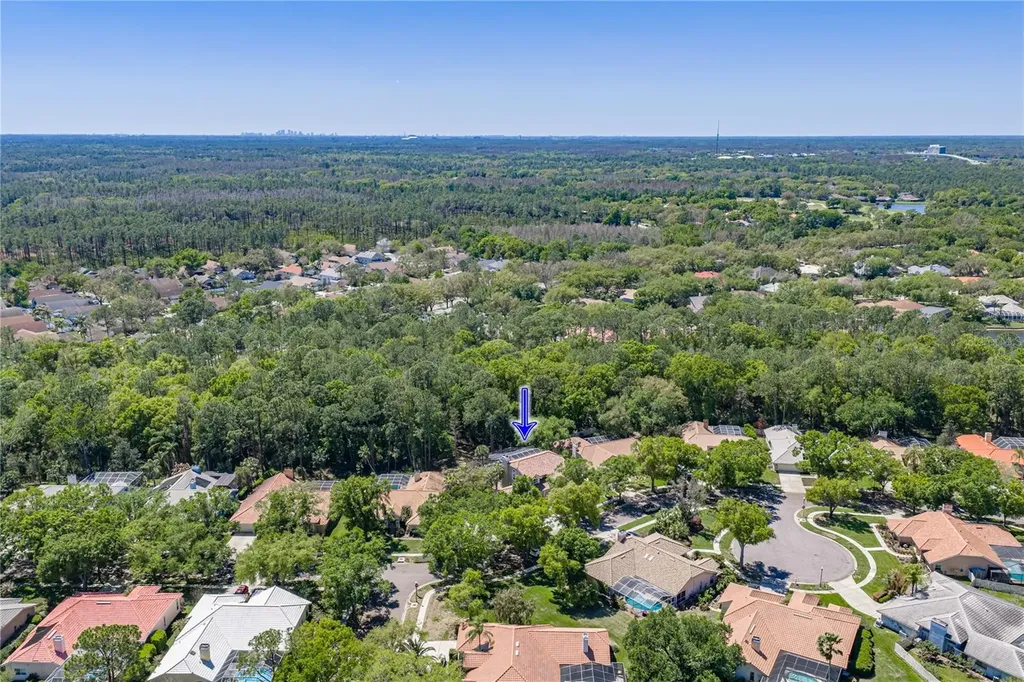17820 Grey Brooke Drive Tampa FL 33647