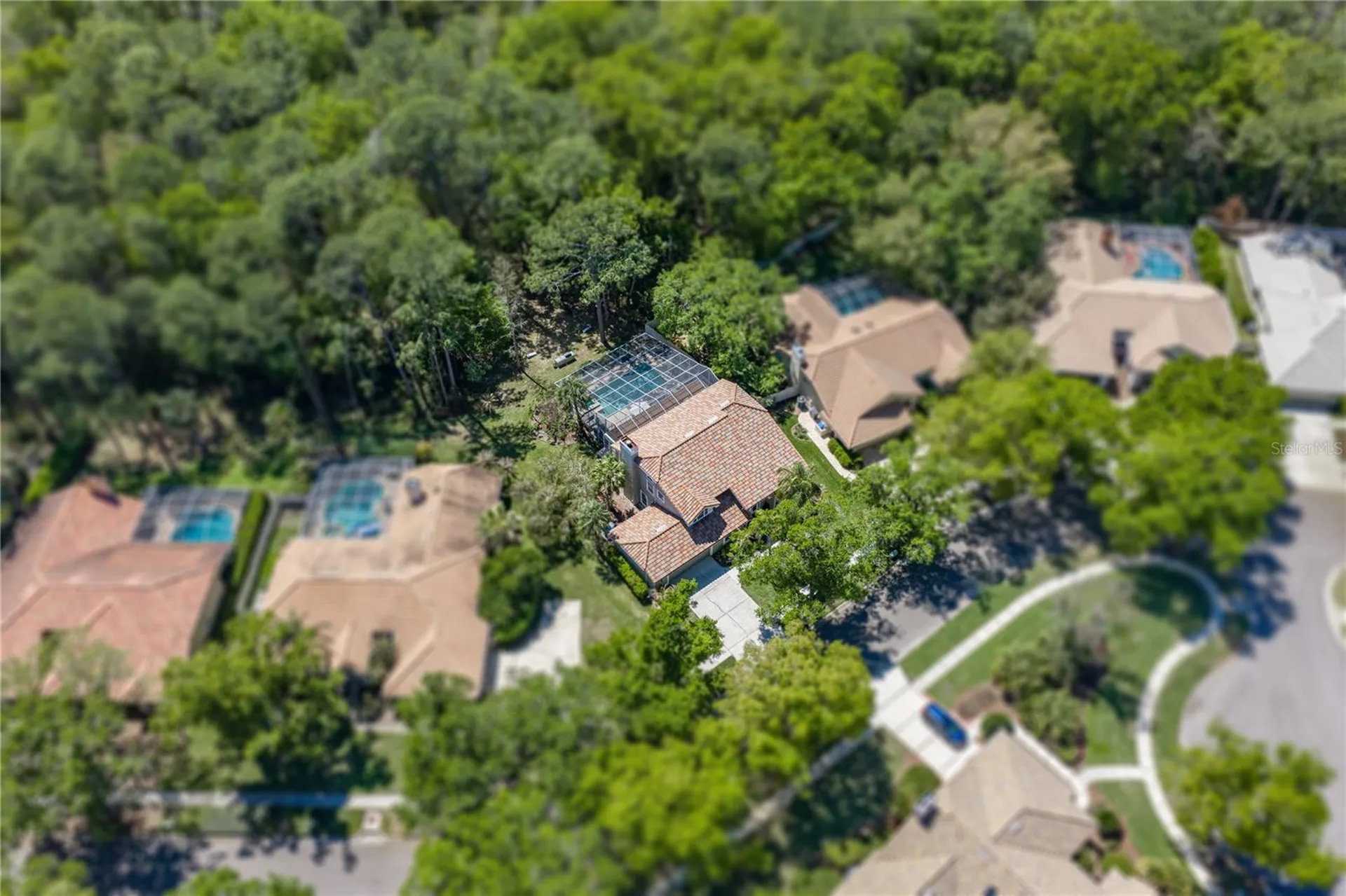 17820 Grey Brooke Drive Tampa FL 33647
