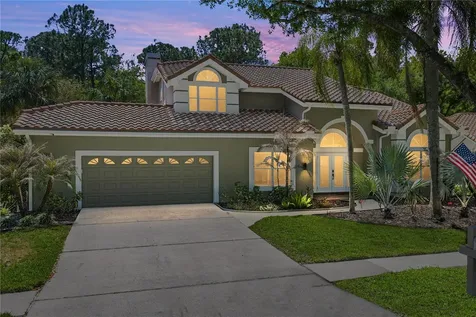17820 Grey Brooke Drive Tampa FL 33647