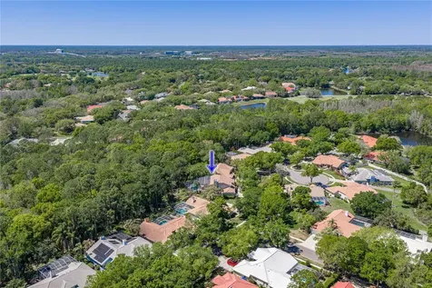 17820 Grey Brooke Drive Tampa FL 33647
