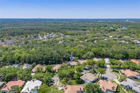 17820 Grey Brooke Drive Tampa FL 33647