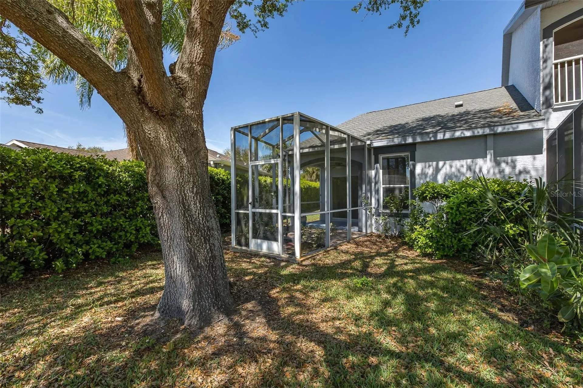 11142 Port Douglas Drive New Port Richey FL 34654