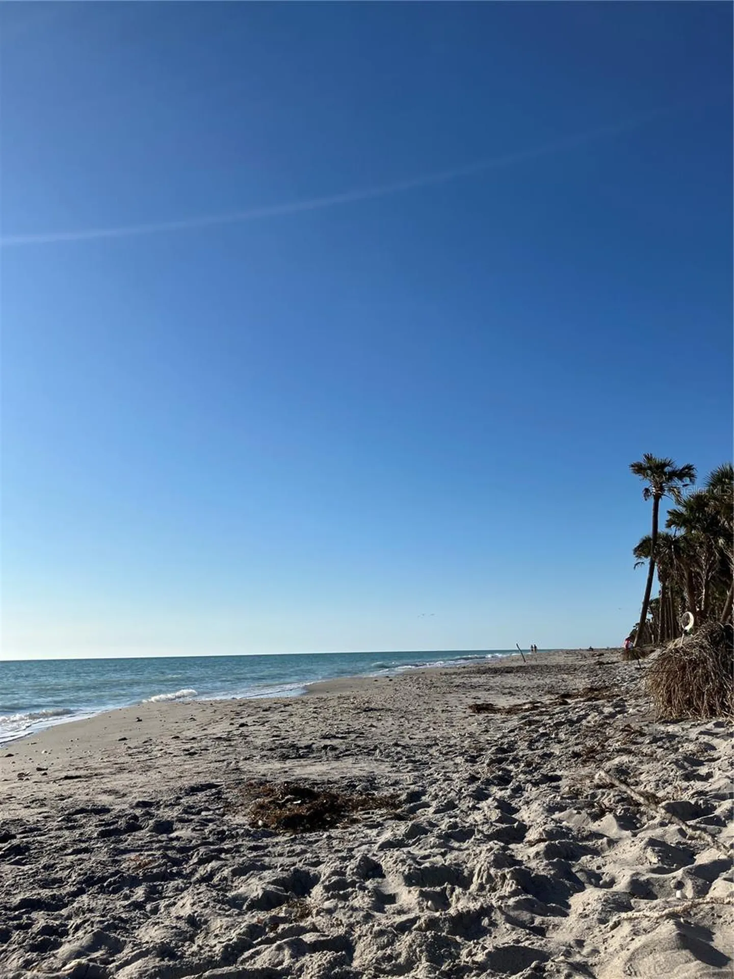 4705 Lemon Bay Drive Venice FL 34293