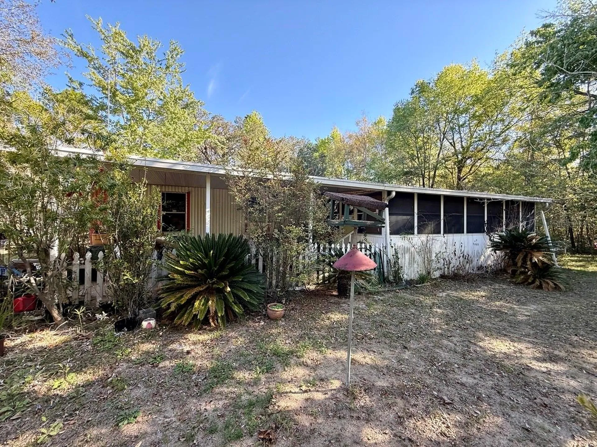 14051 NE 45th Place Williston FL 32696