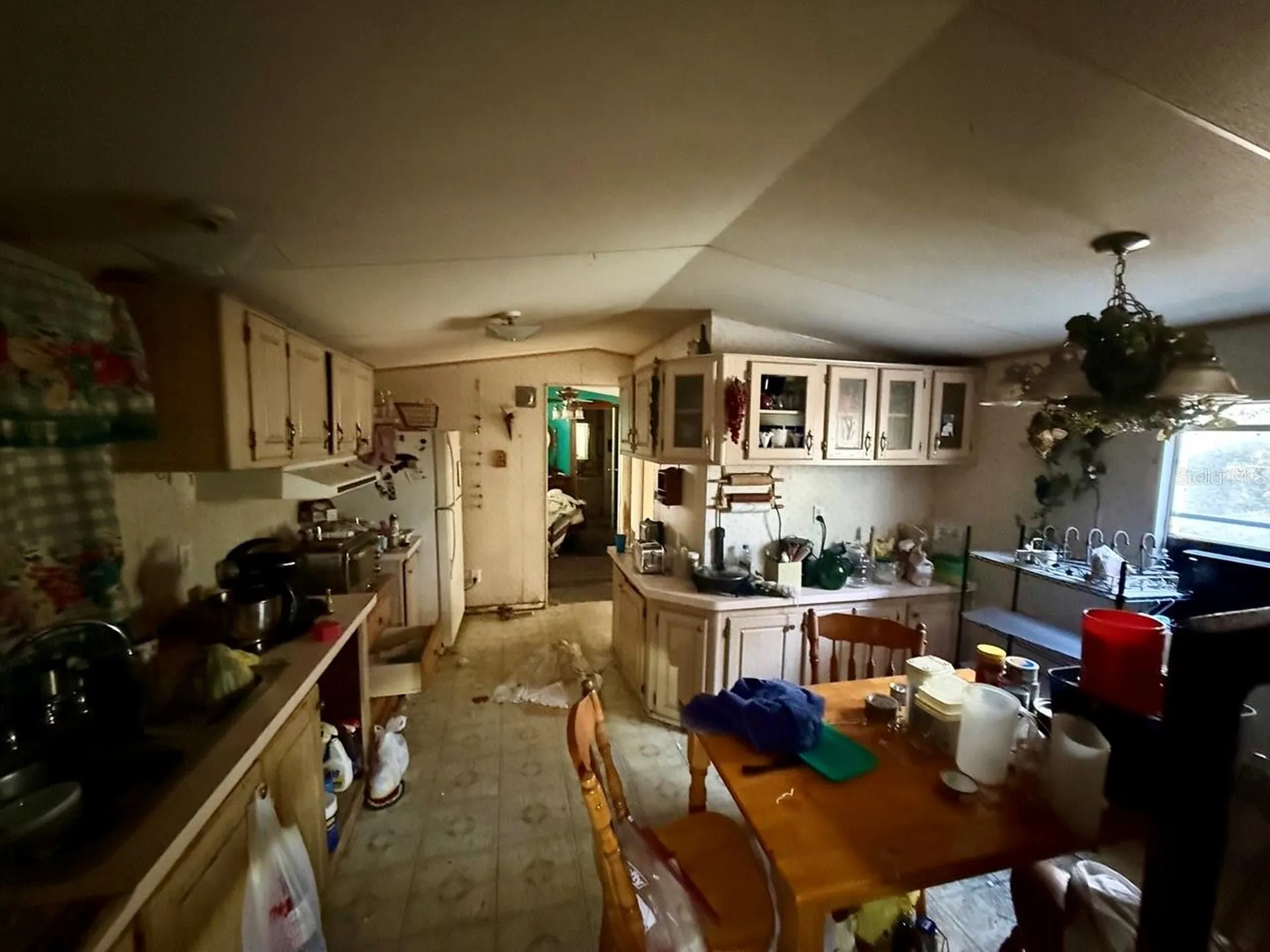 14051 NE 45th Place Williston FL 32696