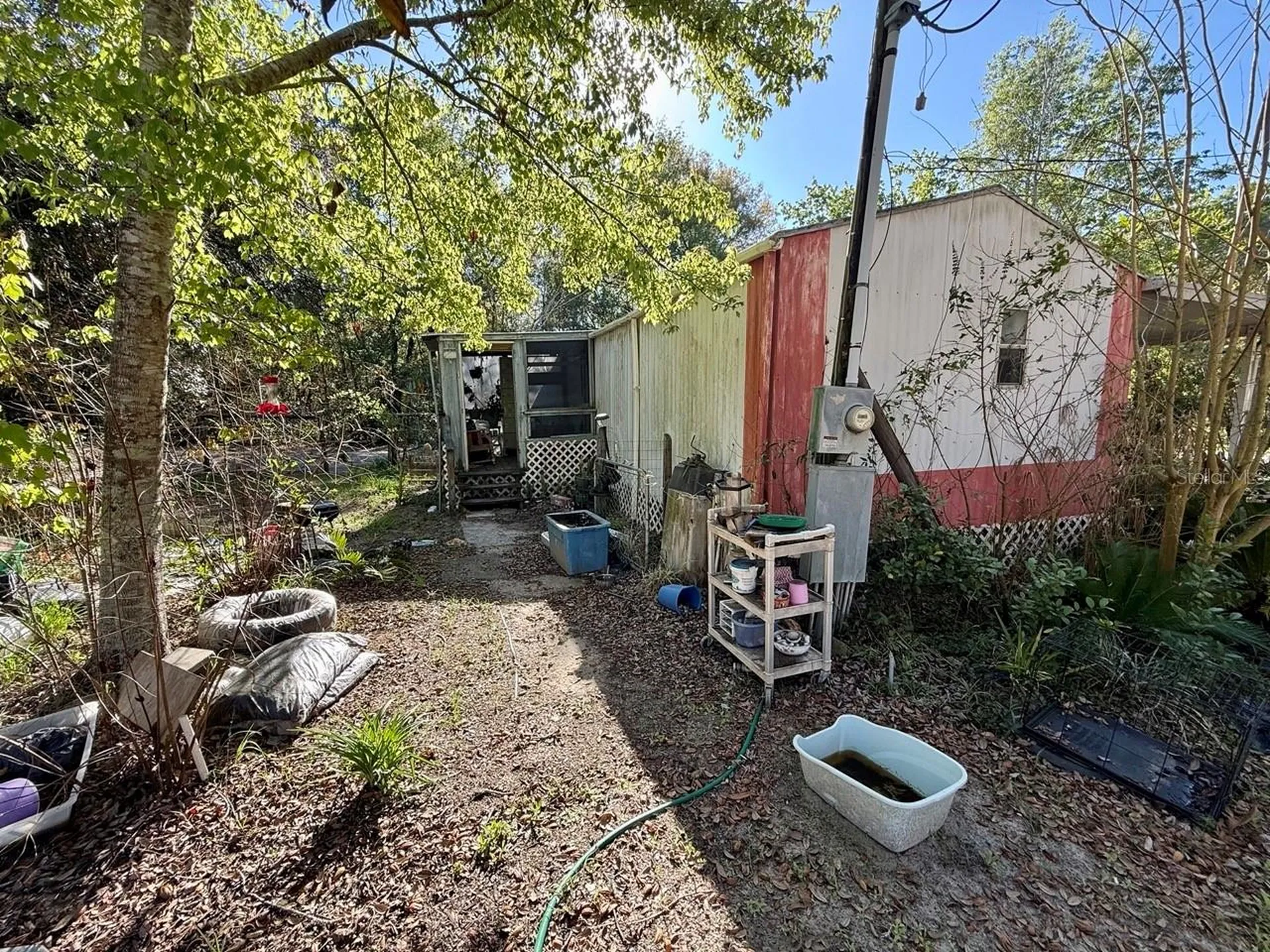 14051 NE 45th Place Williston FL 32696
