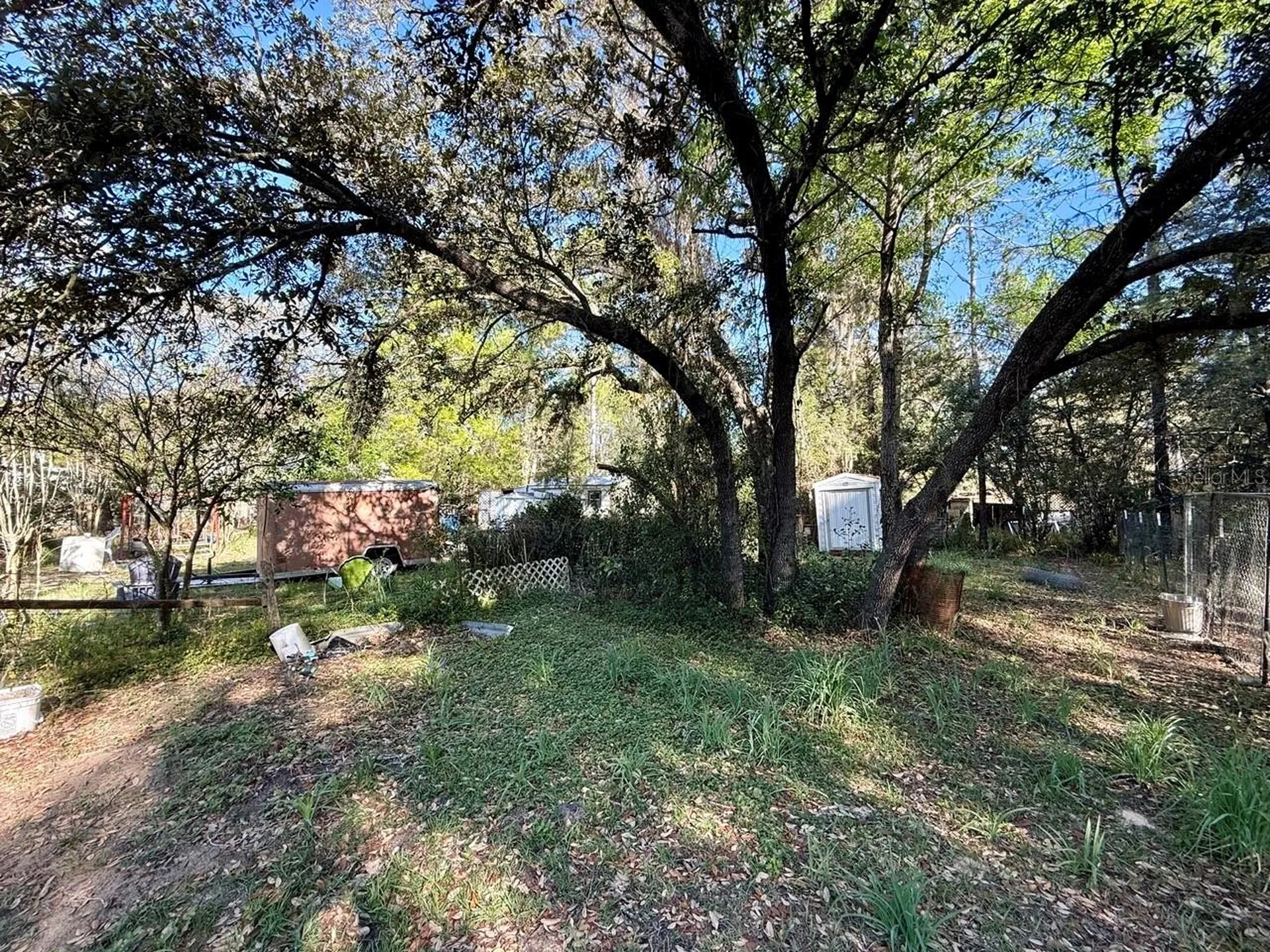 14051 NE 45th Place Williston FL 32696