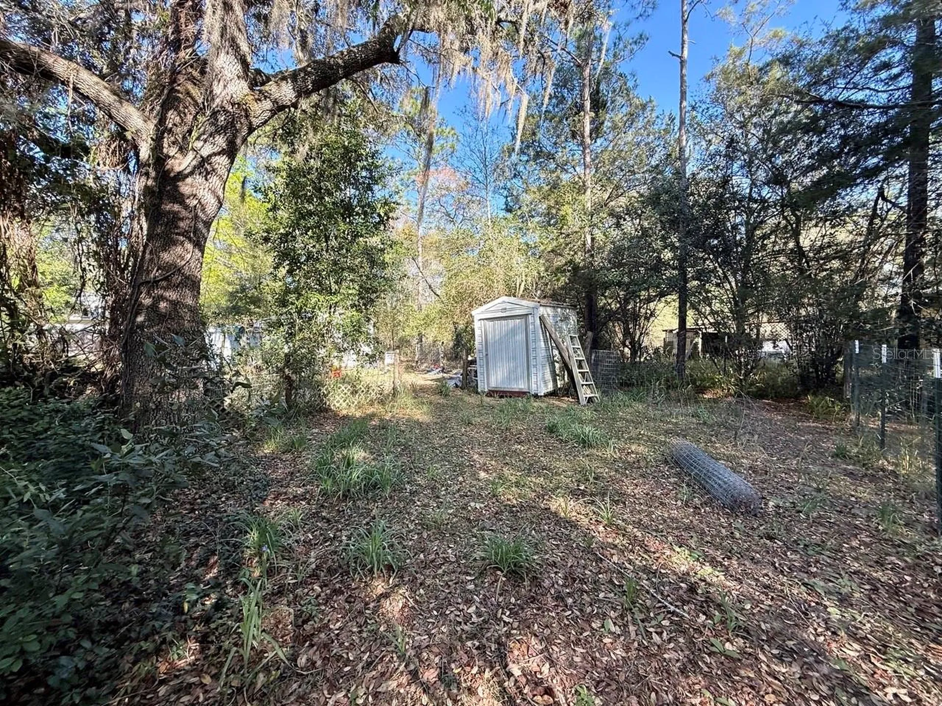 14051 NE 45th Place Williston FL 32696