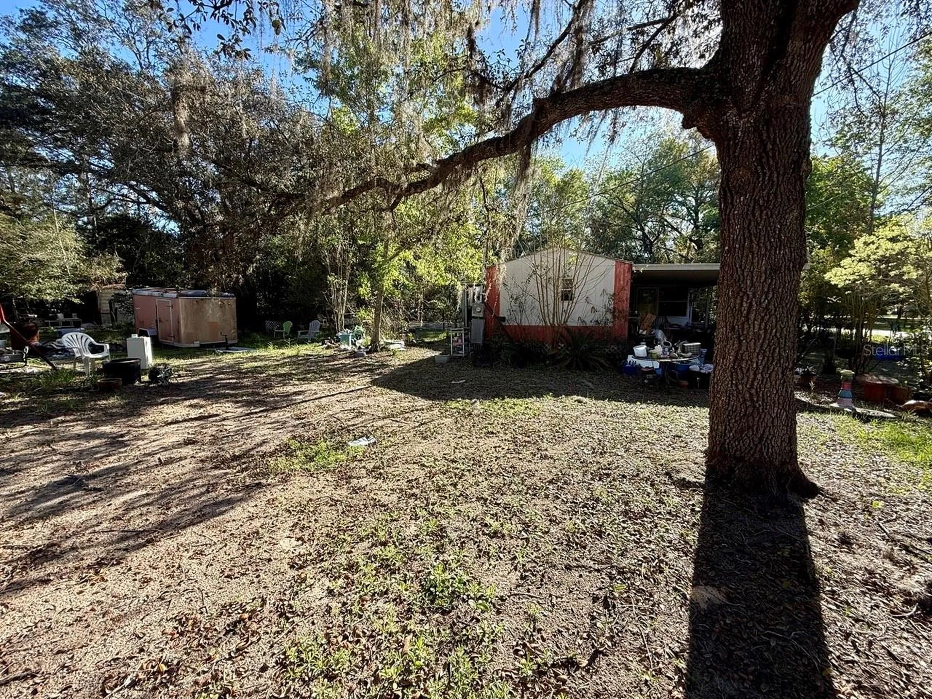 14051 NE 45th Place Williston FL 32696