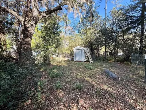14051 NE 45th Place Williston FL 32696