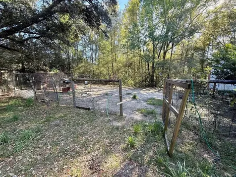 14051 NE 45th Place Williston FL 32696
