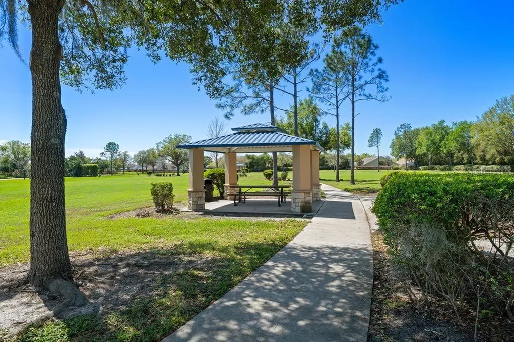 11052 Ancient Futures Drive Tampa FL 33647