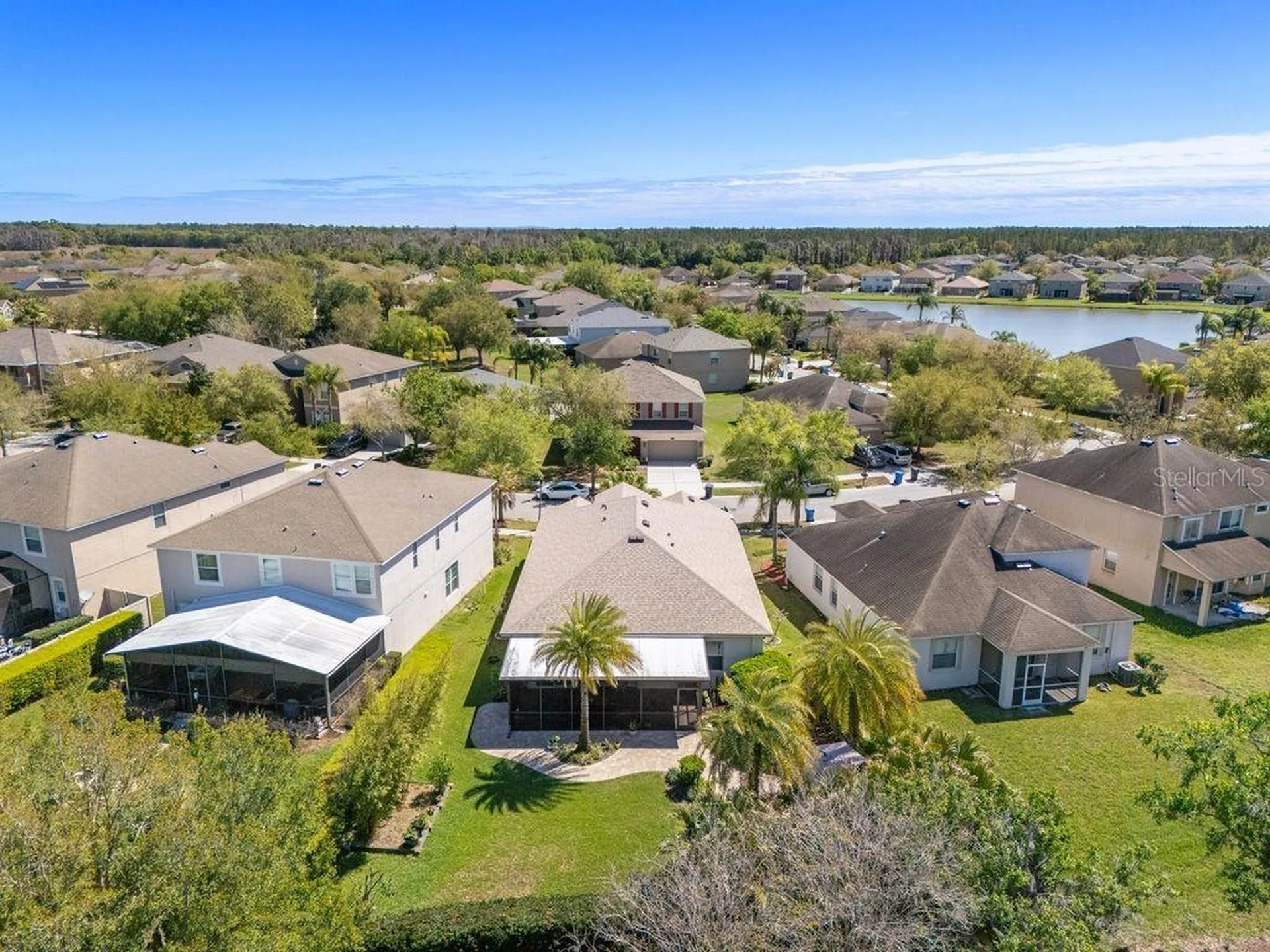 11052 Ancient Futures Drive Tampa FL 33647