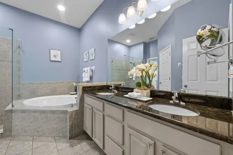 11052 Ancient Futures Drive Tampa FL 33647
