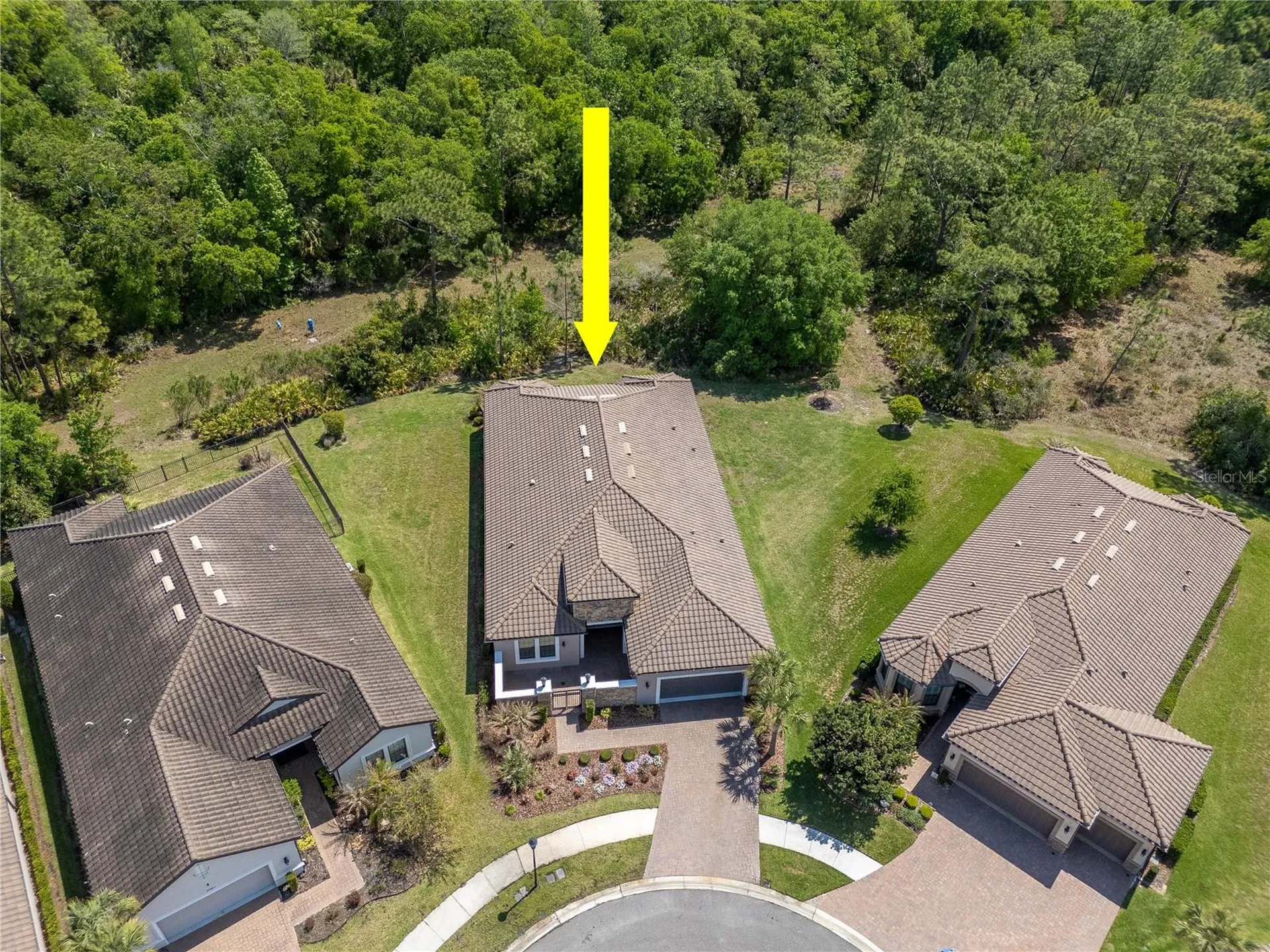 20003 Umbria Hill Drive Tampa FL 33647